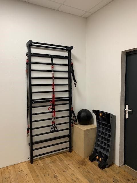 Art Sport USA Steel Swedish Ladder – 90.5 x 35.4 in – Code 221-Metall
