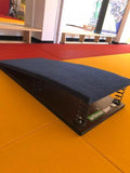 Gymnastics trampoline with springs ,code  214-springs, springboard