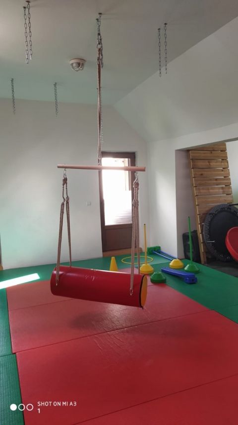 Art Sport USA Foam Cylinder Therapy Swing – Sensory & Fitness Hanging Swing, Code 258-swing