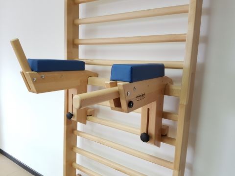 Dip and abdominal workout stands in beechwood, code 270-3