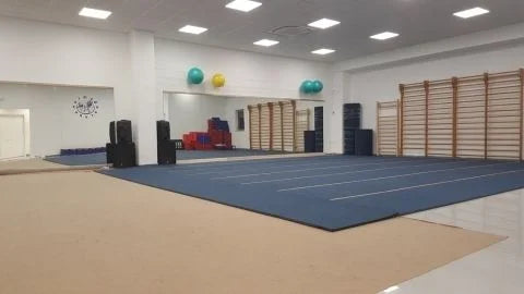Art Sport USA Roll-Up Gym Flooring – 2 cm Thick Modular Carpet System