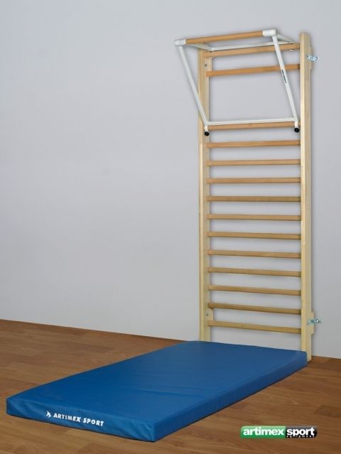Art Sport USA Swedish Ladder Bristol – 78.7 x 33.5 in – 12 Rungs – Code 253