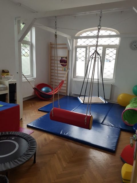 Art Sport USA Foam Cylinder Therapy Swing – Sensory & Fitness Hanging Swing, Code 258-swing