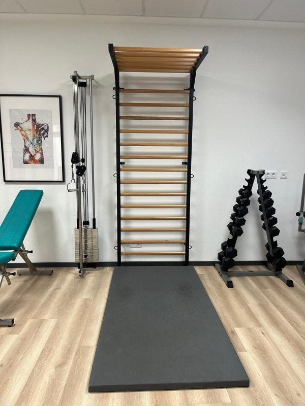 Metal Gymnastic Wall Bars – Swedish Ladder / Stall Bars , code 277