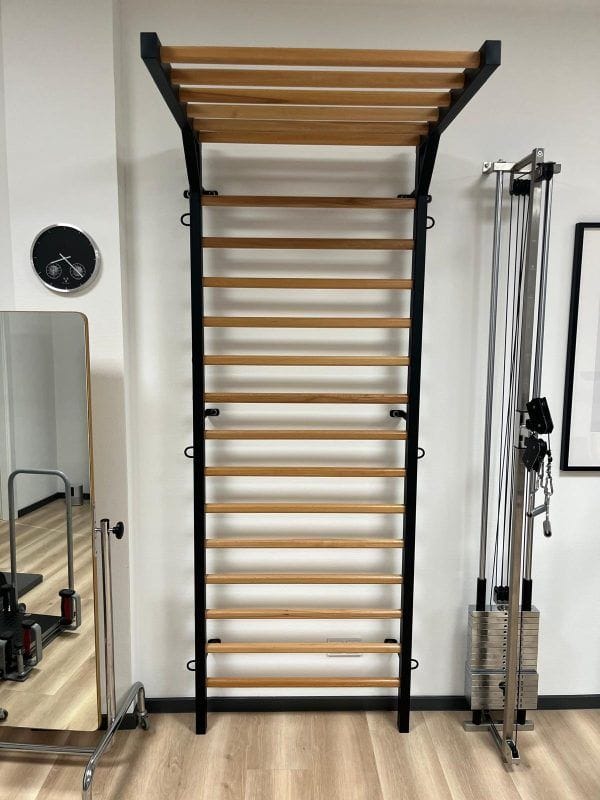 Metal Gymnastic Wall Bars – Swedish Ladder / Stall Bars , code 277