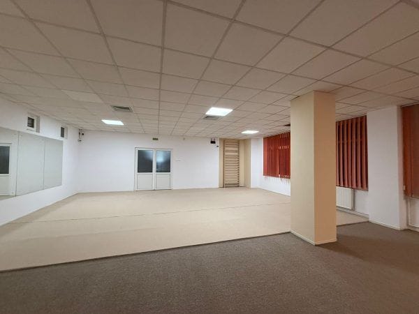 Art Sport USA Roll-Up Gym Flooring – 2 cm Thick Modular Carpet System