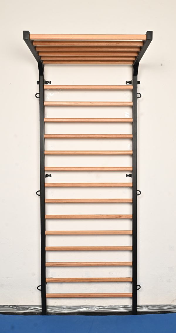 Metal Gymnastic Wall Bars – Swedish Ladder / Stall Bars , code 277