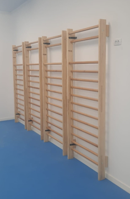 Home gymnastic wall bars(Swedish Ladder), 230x85 cm, 14 rungs, code 221