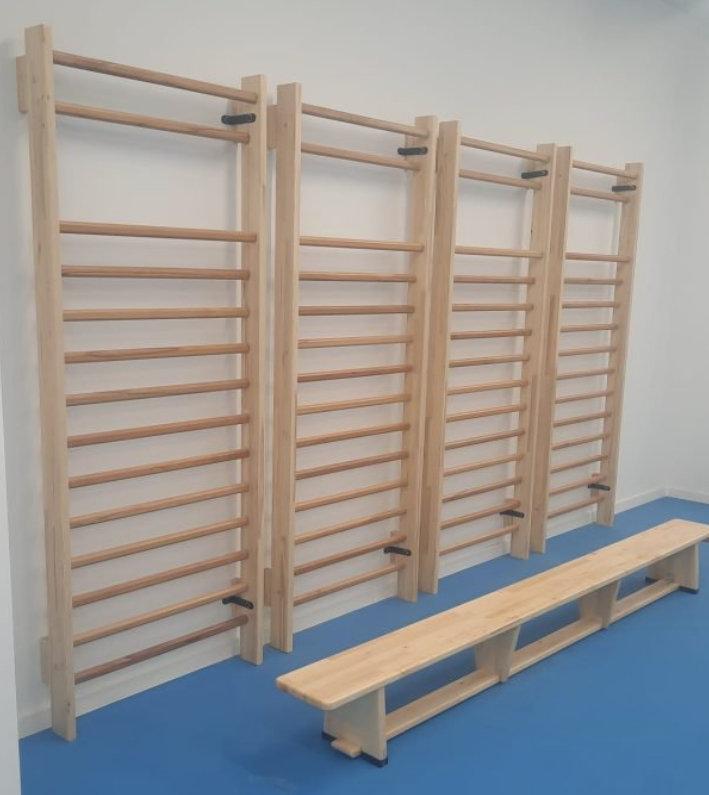 Home gymnastic wall bars(Swedish Ladder), 230x85 cm, 14 rungs, code 221