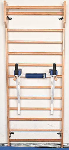 Swedish Ladder Dip Bars Attachment – Heavy Duty – ART SPORT USA – Code 270