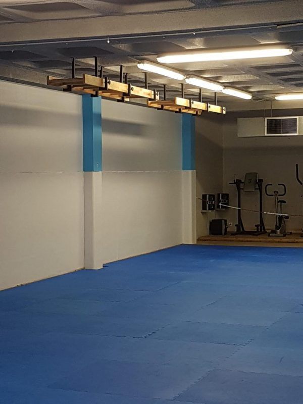 Art Sport USA Ceiling-Mounted Gymnastics Ladder – 102.4 x 19.7 in – Code 281