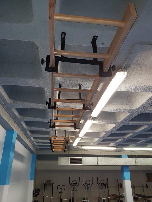 Art Sport USA Ceiling-Mounted Gymnastics Ladder – 102.4 x 19.7 in – Code 281