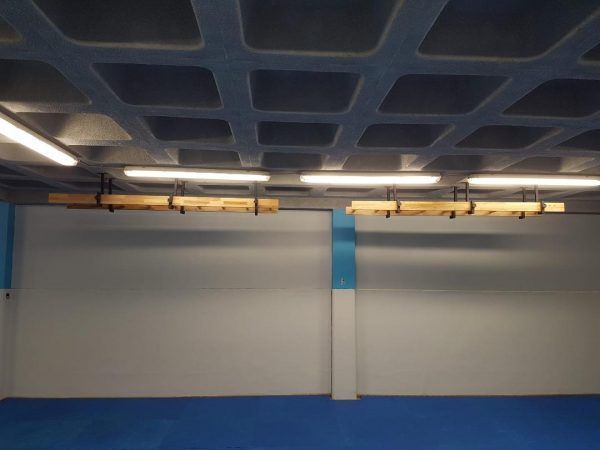 Art Sport USA Ceiling-Mounted Gymnastics Ladder – 102.4 x 19.7 in – Code 281