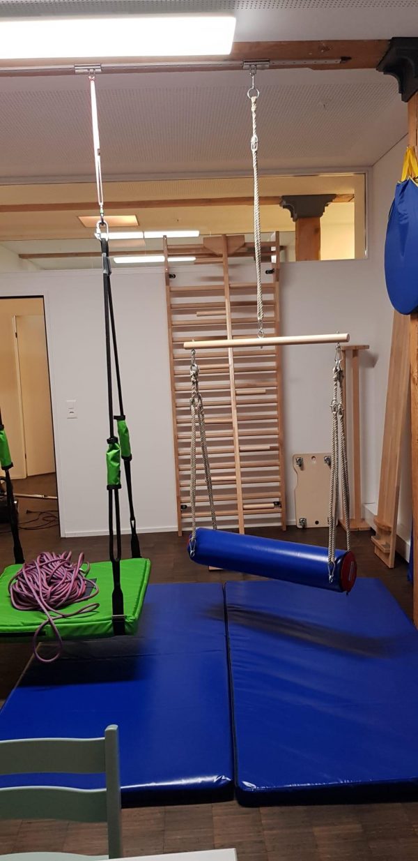 Art Sport USA Foam Cylinder Therapy Swing – Sensory & Fitness Hanging Swing, Code 258-swing