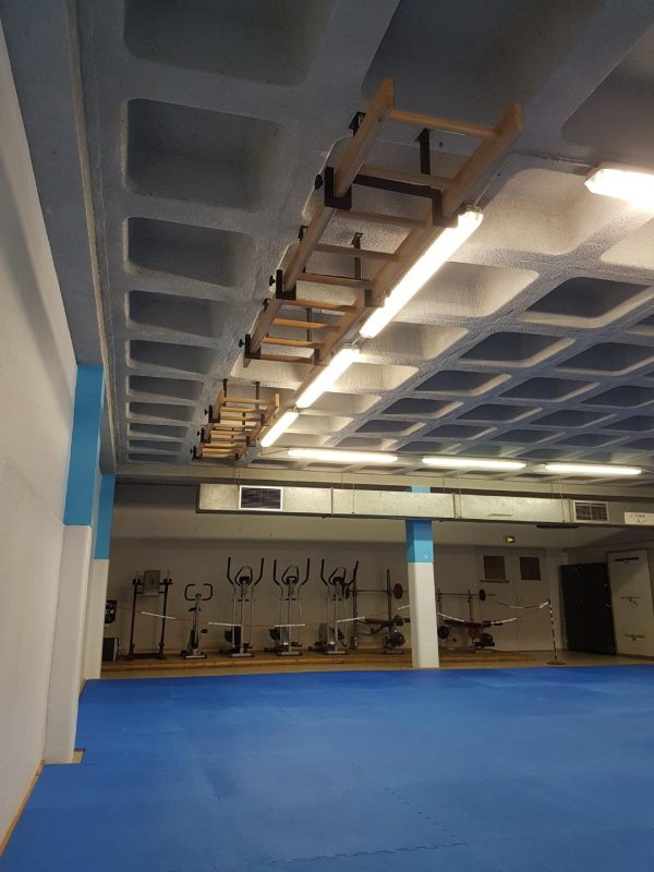 Art Sport USA Ceiling-Mounted Gymnastics Ladder – 102.4 x 19.7 in – Code 281